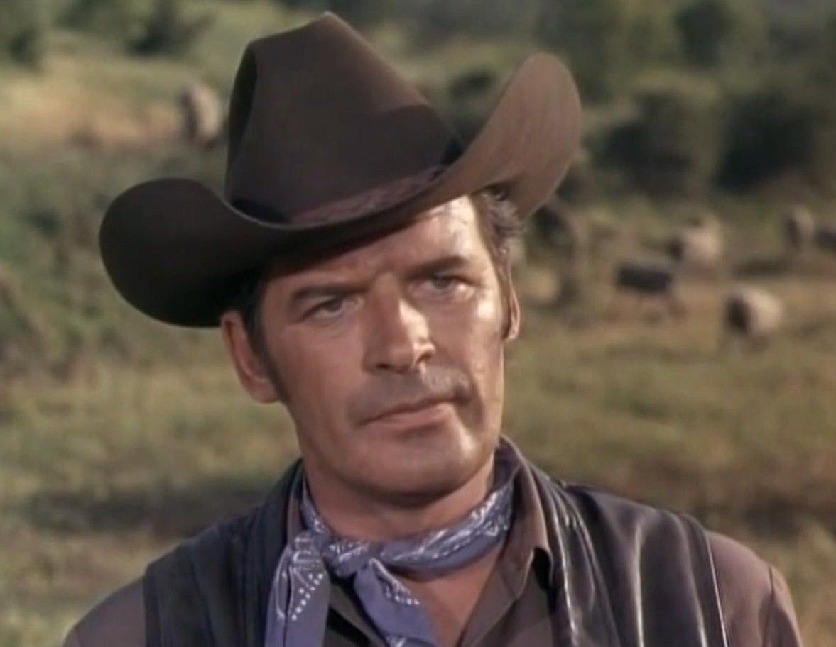 Peter Breck Net Worth